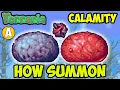 Terraria Calamity Mod how to summon SLIME GOD Boss Easy