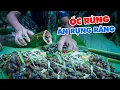 Download Lagu MÓN ỐC CỨNG NHẤT RỪNG GIÀ, CẨN THẬN CẮN MẺ RĂNG - Mùa Hạt Dổi 2025