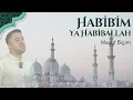 Download Lagu Habibim Ya Habiballah ᴴᴰ | Mesut Biçim