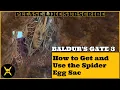 Baldur s Gate 3 How to Get and Use the Spider Egg Sac