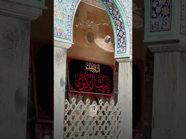 ⁣السيدة زينب - جبل الصبر  #جامعة_آل_البيت_العالمية #اكسبلور #لايك #ترند