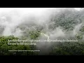 Download Lagu Ekspansi Tambang Emas Martabe Ancaman Nyata bagi Orangutan Tapanuli
