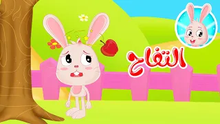 قصص اطفال قصص قبل النوم قصص الأرنب سريع قصة التفاح 
