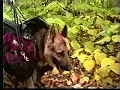 Amazing Grace The Incredible Story of the Blind Appalachian Trail Thru-Hiker Bill Irwin