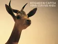 Kosheen - Catch (Ferry Corsten Remix) [Official Audio]