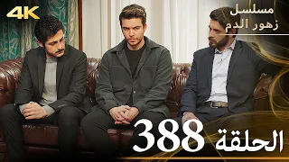 الحلقة 388 مسلسل زهور الدم مدبلج بالعربية Kan Çiçekleri جودة 4K 