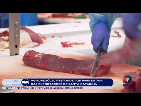 Agronegócio responde por mais de 70% das exportações de Santa Catarina