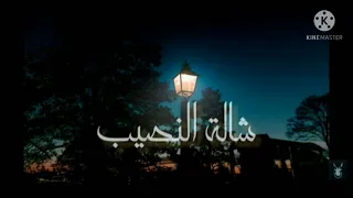 اغنية شالة  النصيب دندنها