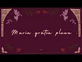 Ave Maria (a capella) | Lyric Video | Sarah Kroger