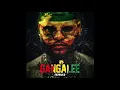Farruko ft. Anuel AA, Kendo Kaponi - Delincuente (Gangalee)