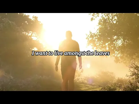 The Casbahs - Leaves