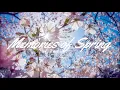 Download Lagu Tokyo Music Walker - Memories of Spring
