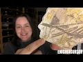 The Jurassic Period Is Hiding Something From Scientists