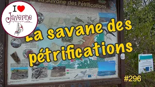 #296 La savane des pétrifications