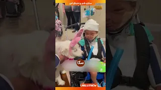 5 تا سگ وحشی به این پسر حمله کردن 