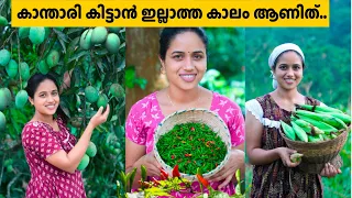 ചക്ക അടയും മാമ്പഴ പുളിശ്ശേരിയും...
