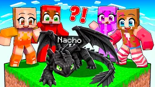 Me Hice Pasar por el DRAGÓN FURIA NOCTURNA en Un Chunk en Minecraft