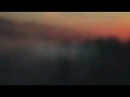 PETIT BISCUIT - Sunset Lover