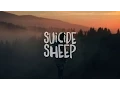 Download Lagu PETIT BISCUIT - Sunset Lover