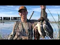 California Refuge Duck Hunt - 3 MAN LIMIT