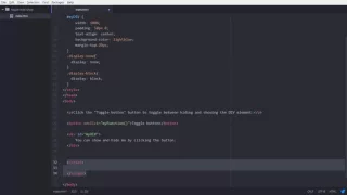 Toggle class in Javascript basics of Javascript show and hide elements