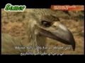 Download Lagu terror raptor