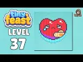 Tiny Feast level 37 walkthrough solution