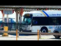 Bee-Line Bus Orion V New Flyer XDE60 Route 13 75 91 Buses Rye Playland Park