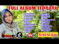 Download Lagu FULL 3 JAM 🎤Nay Tiamu Amri 🎵 PUTRA PAI MUDA Terbaru