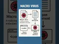 Macro Virus Explained What is it How it Works Visual Guide