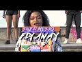 SneMusiq - Fly away