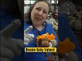 Valuing Beanie Babies - Thrift Shopping by Dr Lori