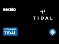 Download Lagu Serato DJ Pro Streaming Tutorial | Tidal