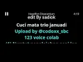 Download Lagu Karaoke trio januadi cuci mata