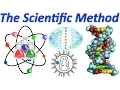 Use the Scientific Method Mr W s