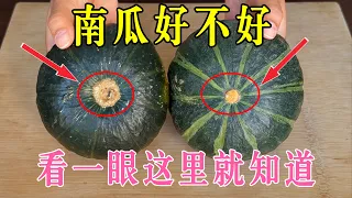 今天才知道，南瓜好不好吃，瞧一眼这里就明白，保证挑到粉糯香甜不踩雷