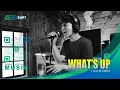 Download Lagu 4 Non Blondes - What's Up (Acoustic Cover)