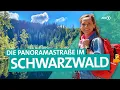 Lagu Der Schwarzwald – Von Freudenstadt über die Hochstraße nach Baden-Baden | ARD Reisen