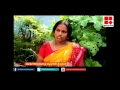 Aadu Antony wife to Reporter