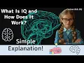 What Is IQ and How Does It Work Simple Explanation