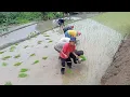 Download Lagu ## Enjoyable farmers life ##  