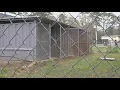 Silsbee animal control officer being processed into jail as investigation into dog remains continues