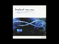 Big Bud - Infinity + Infinity (Drum \u0026 Bass, Downtempo) (1999)