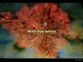 Today ~ Jefferson Airplane [Lyrics]