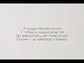 NK | Настя Каменских - ТЕКСТ ПІСНІ (ПОЧУТТЯ) | (КАРАОКЕ)