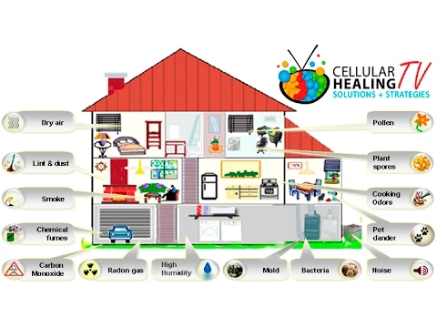 Tips on Creating a Healthy Home - CHTV 74
