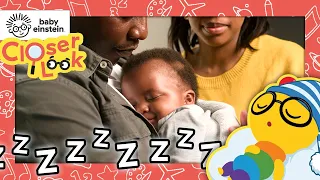 A Closer Look at Lullaby Time | Baby Einstein | Learning Show for Toddlers | Education for Kids