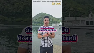 กินวิตามินเยอะๆ ทำให้ตับและไตเสียหายหรือไม่