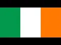 Rifles of the IRA
