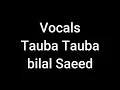 Lagu Vocals Tauba Tauba Bilal Saeed